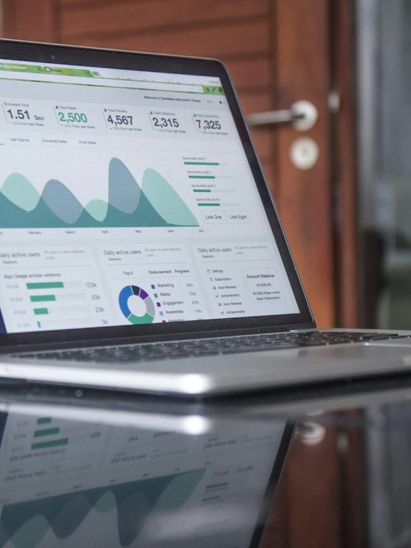 Business revenue growth analytics